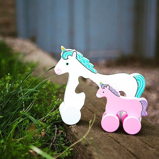 Big & Little Push Toys